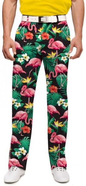 Loudmouth Men's Golf Pants " Flamingo Bay StretchTech"